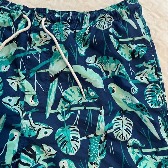Old Navy Green and Blue Swim Trunks Men’s Medium Parrot Iguana Tropical Netting - Picture 2 of 8